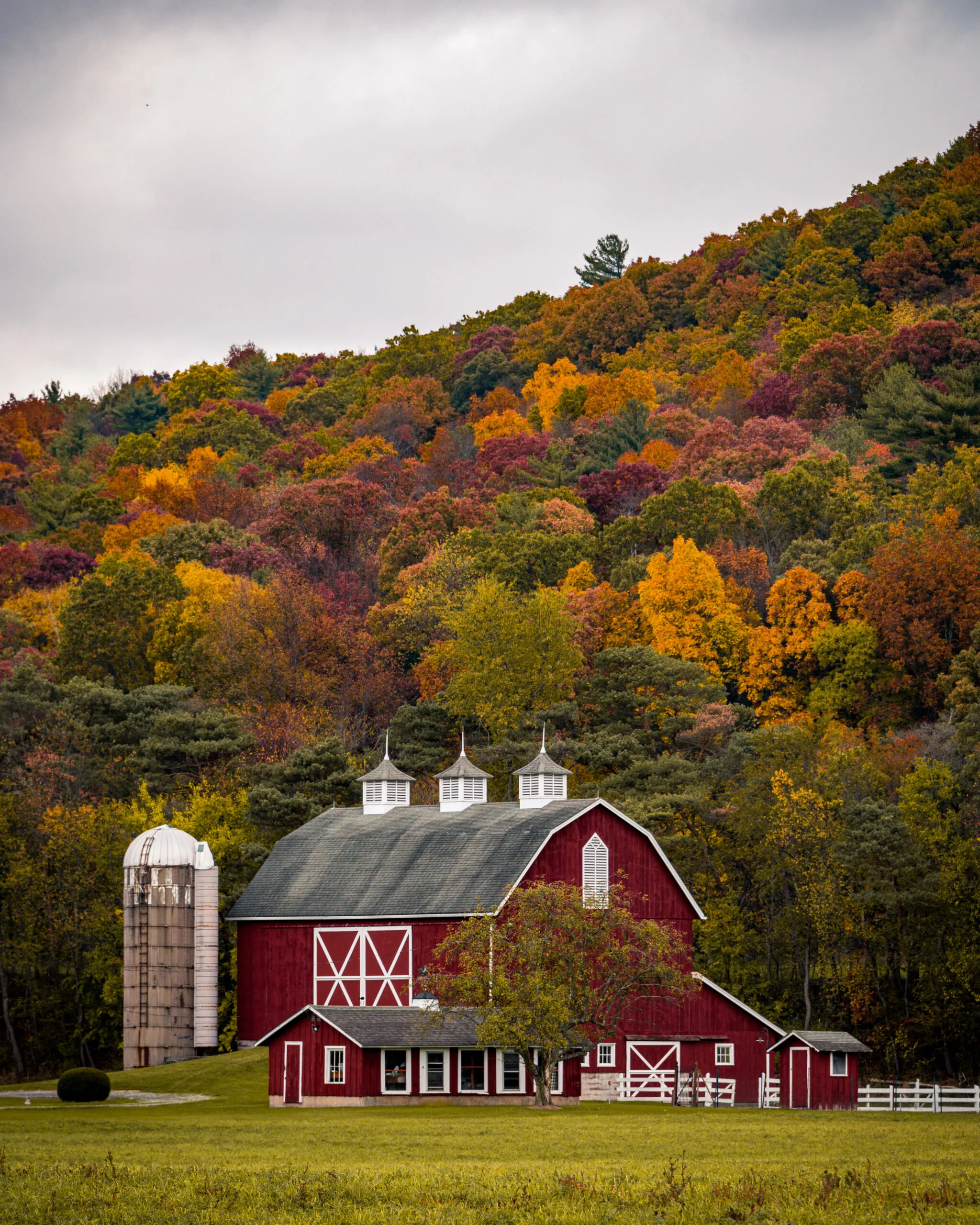 Vermont Fall Foliage Barn